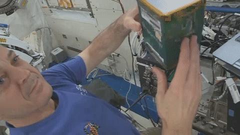 Arnold Installs Module