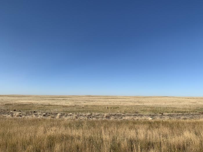 Prairie in the Province of Alberta, Canada