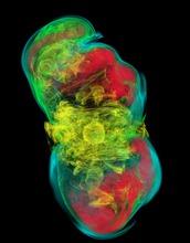 A Simulation of a Supernova Computed on Stampede