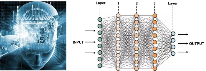 Fig. 3 Deep-learning-based resolution enhancement of DHM