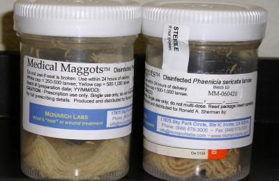 Vial of Germ-free Medicinal Maggots