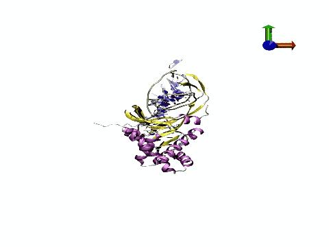 DNA-Protein Complex Simulation
