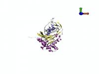 DNA-Protein Complex Simulation