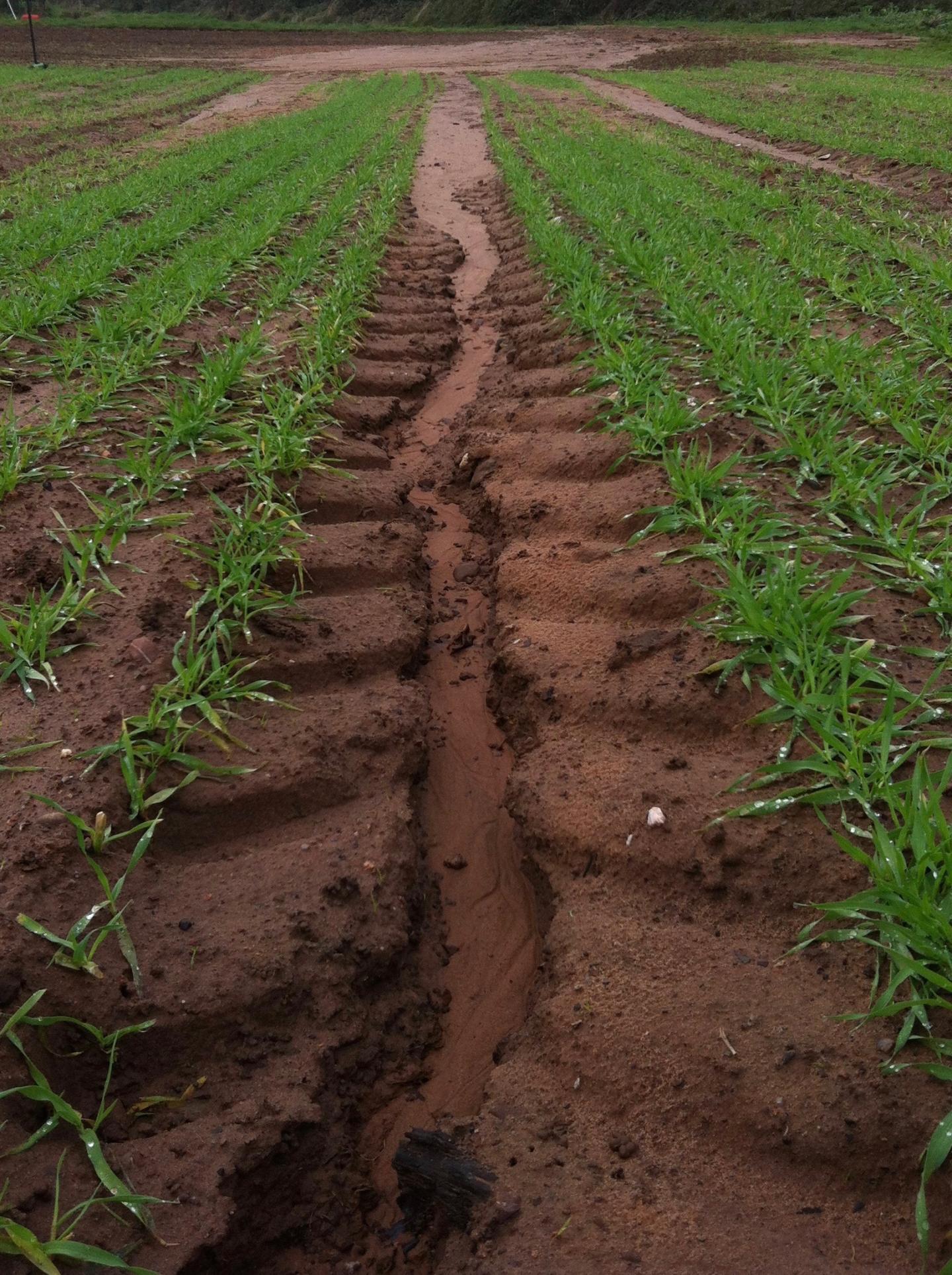 soil erosion com