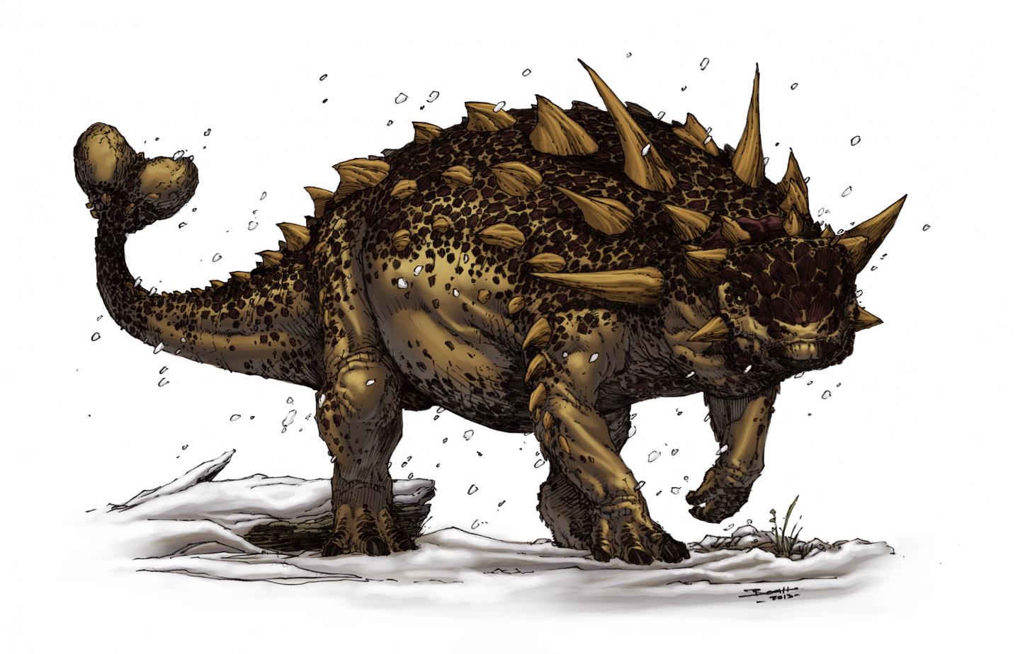 Illustration of an <i>ankylosaur</i>
