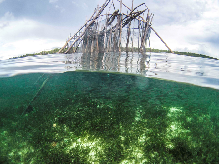 A static fish fence, “sero”