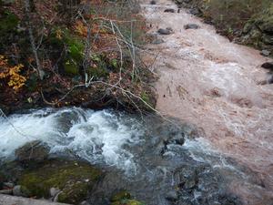 Clear and turbid waters mix in the Upper Esopus Creek.