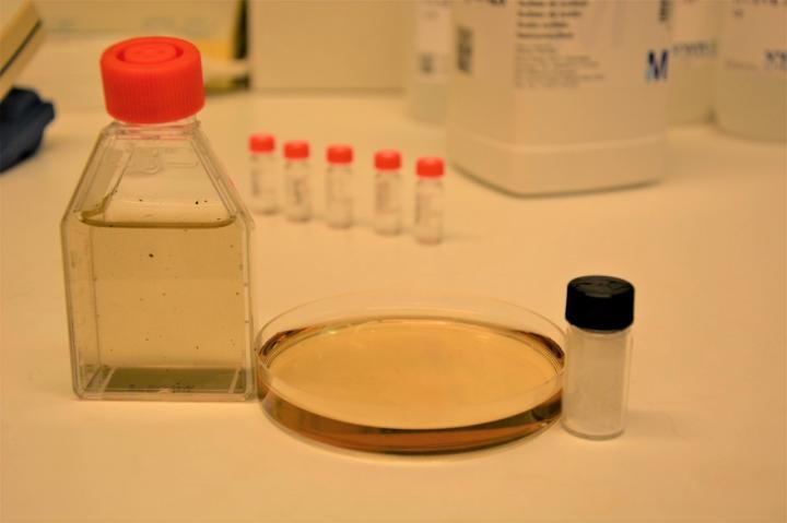 Biodegradation of Polyethylene