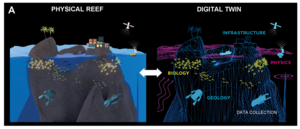 The Coral Reef Digital Twin