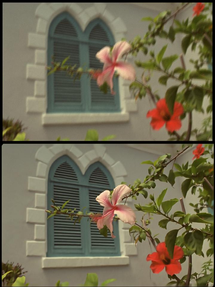 Image Repair with Algorithm: Before/After