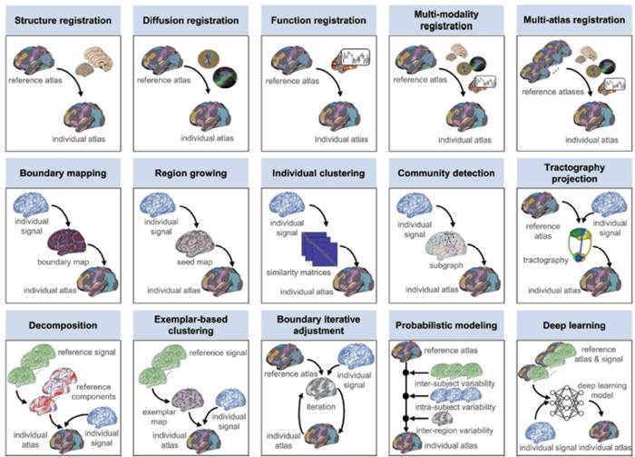 Individualized brain mapping techniques for tailored neuromodulation strategies