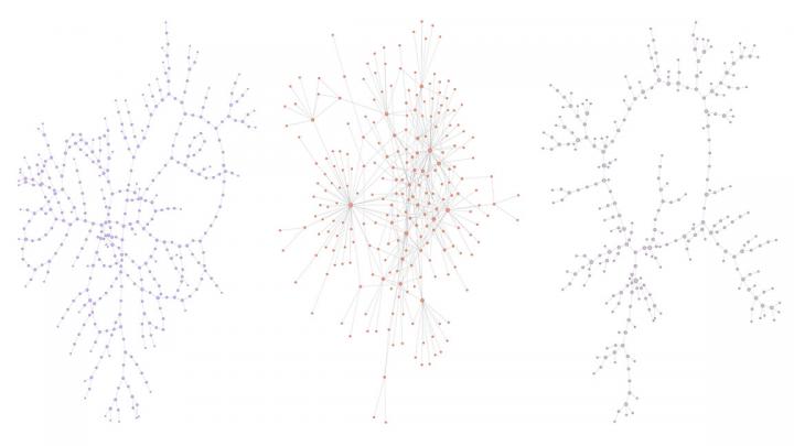 Three Treelike Networks: Networks of Metropolitan Water Distribution, Twitter Communication and Sexu