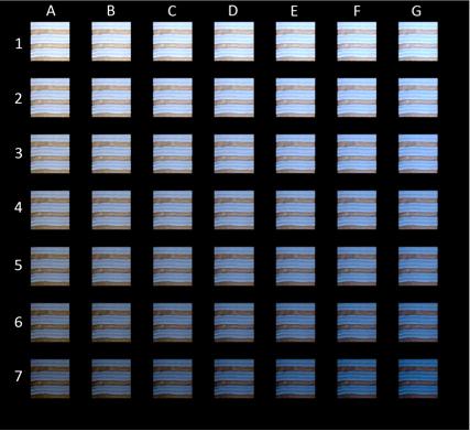 Which Piece Resembles Your Color Perception for #theDress Image?