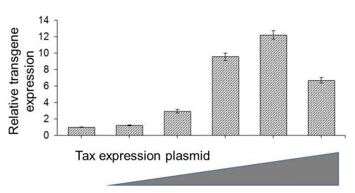 Co-transfection