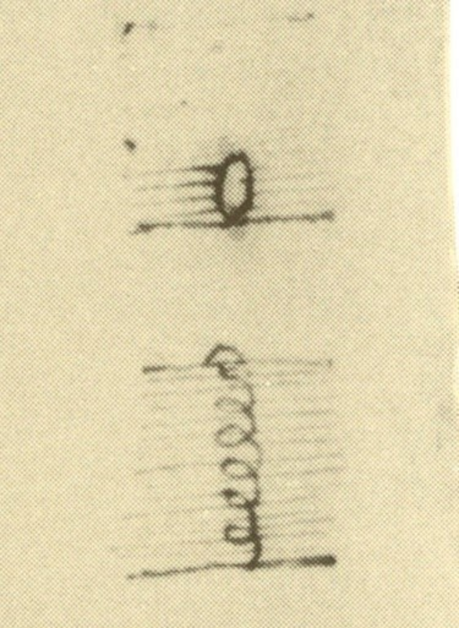 Sketch by Leonardo da Vinci