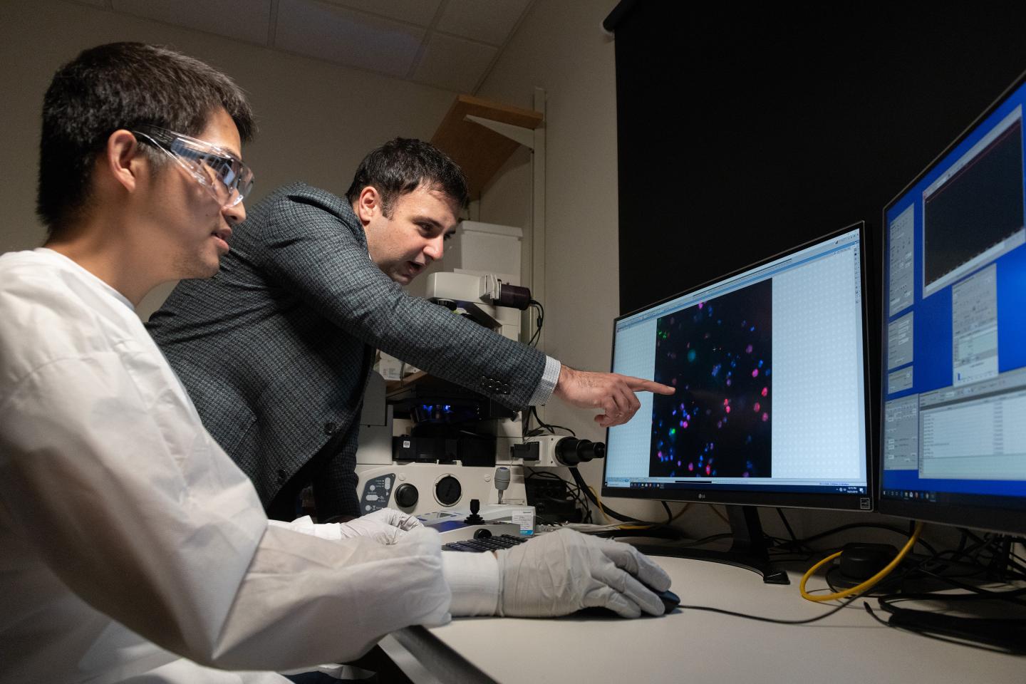 Examining Tumor Cells