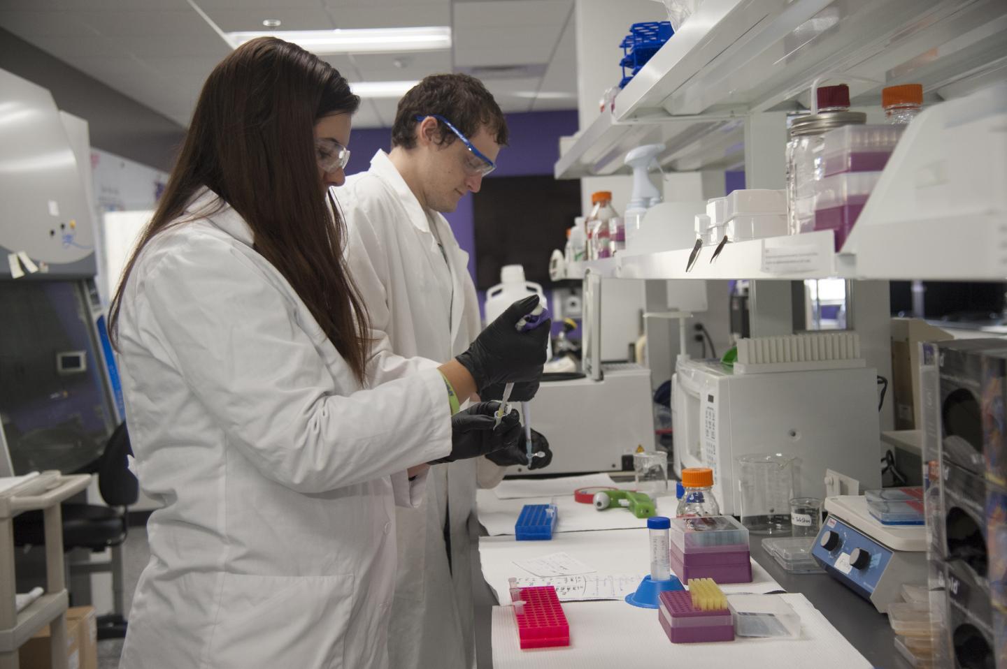 Laura Constance, Kansas State University 