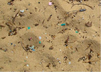 Microplastics (2 of 3)