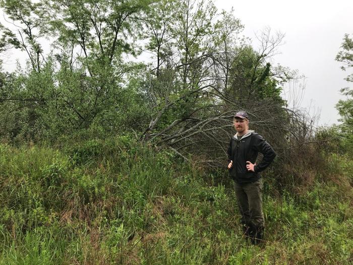 Chris Fields-Johnson stands next to the invasive autumn olive.