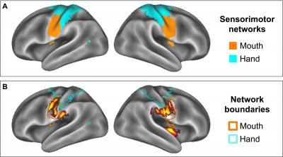 Dartmouth Teen Brain TV Food Commercial Study