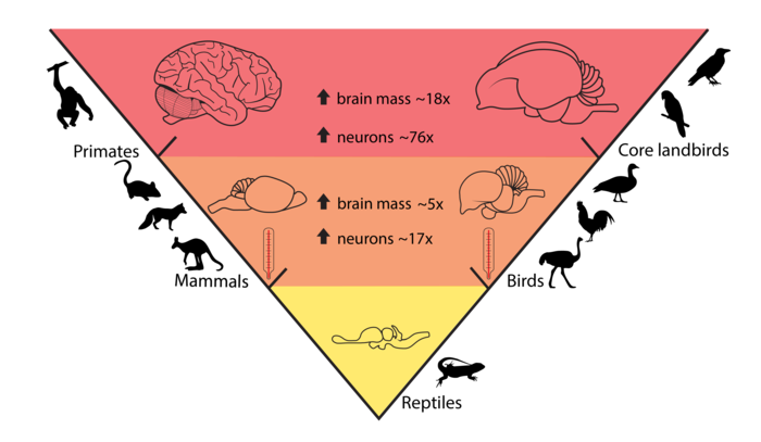 Graphical abstract of the research.