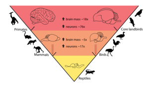 Graphical abstract of the research.