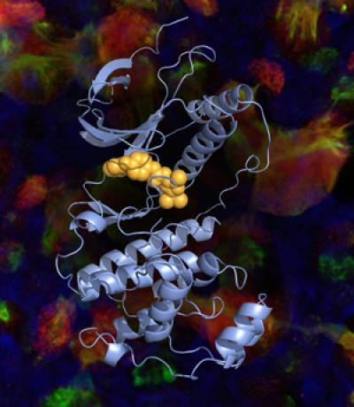 Drugs Limiting Excess Mucus Could Save Lives (1 of 2)