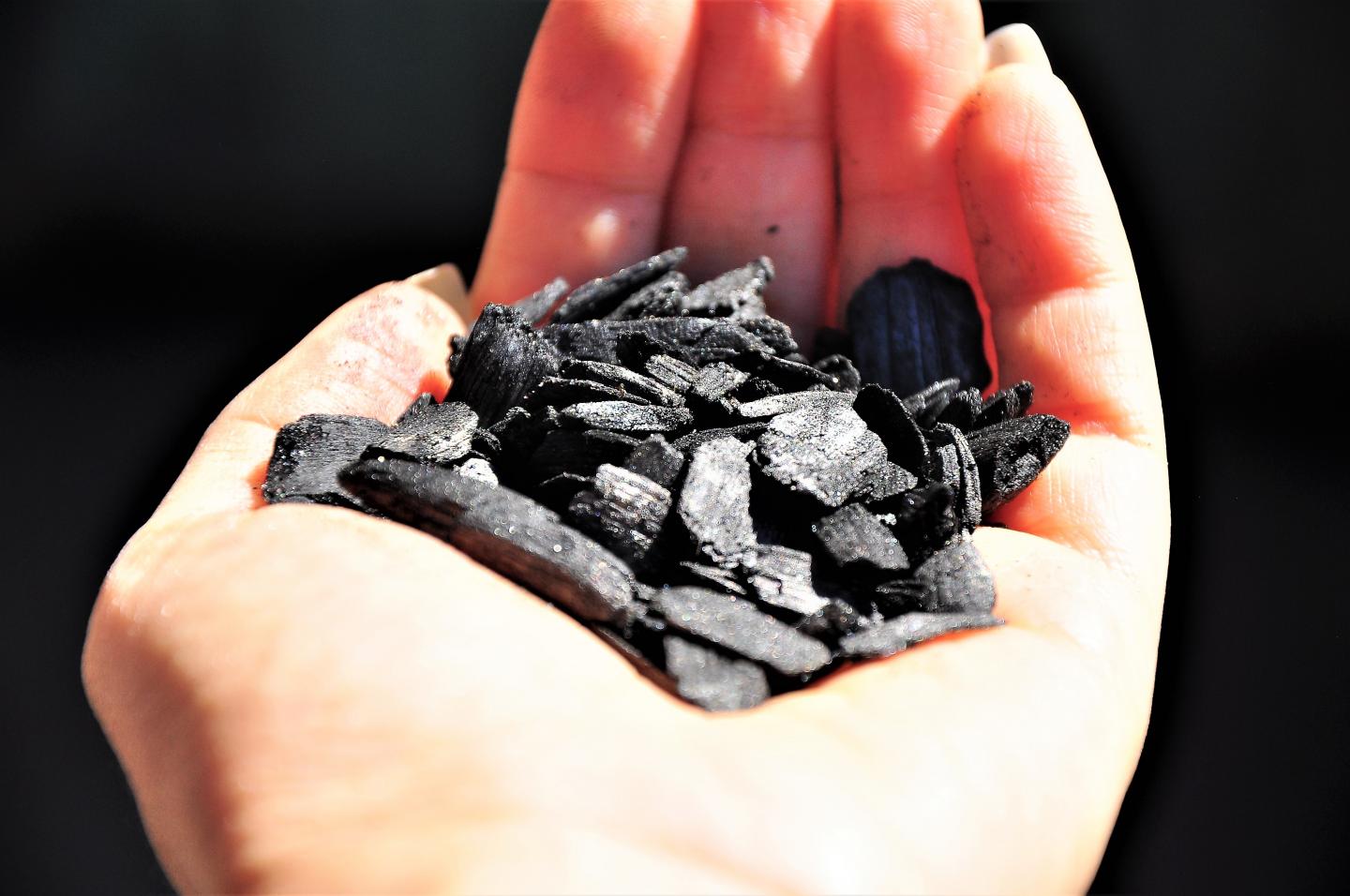 Biochar