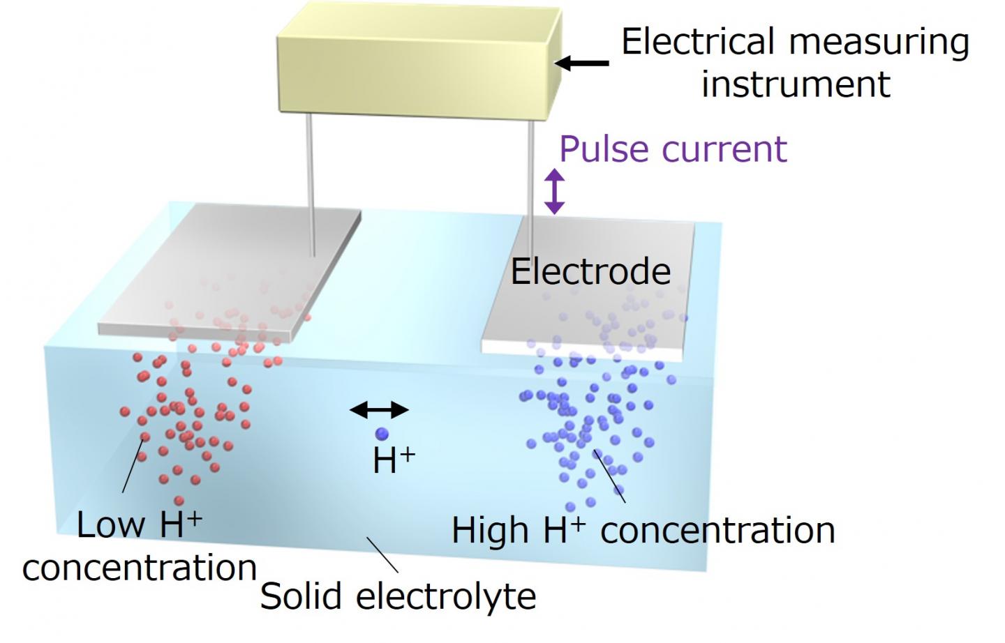 Ionic decision-maker