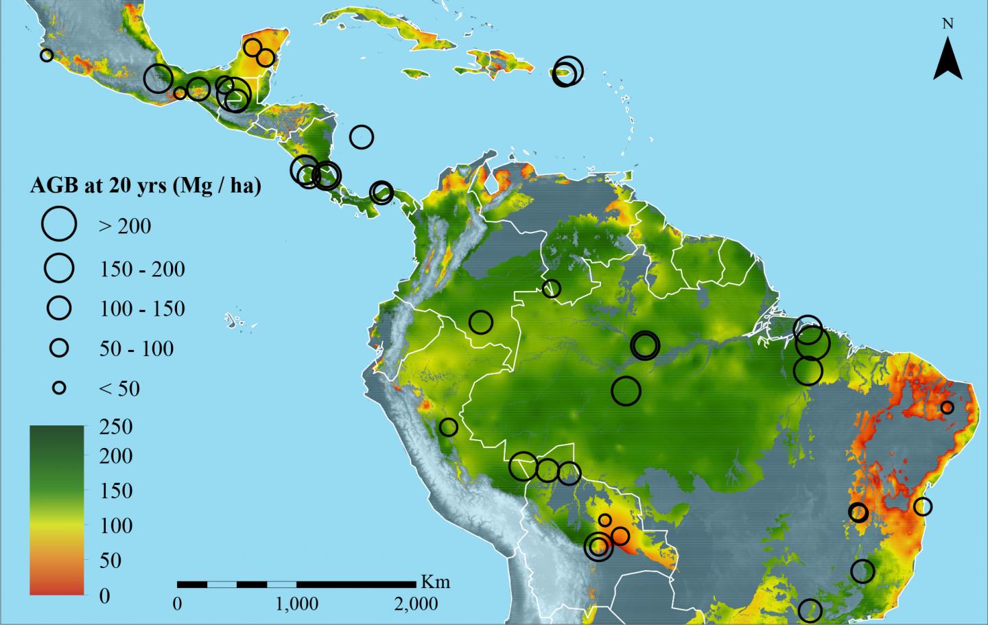 Biomass Map