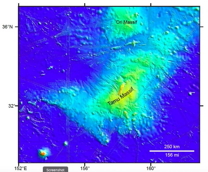 Tamu Massif