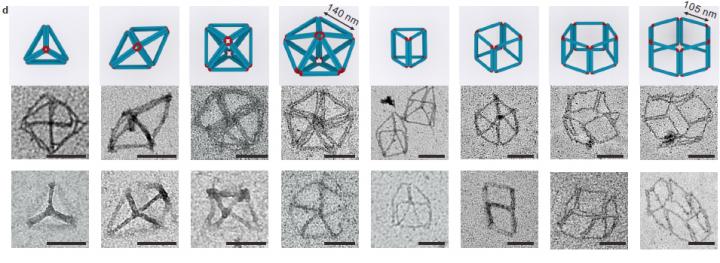 Models and Transmission Electron Microscopy Images