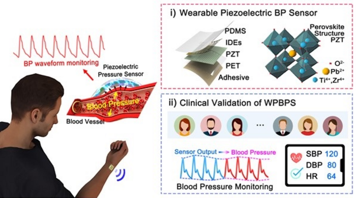 Continuous and Accurate Blood Pressure Monitoring Based on Wearable