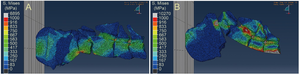 Modeling of high-speed head-butting in Discokeryx xiezhi using finite element analyses