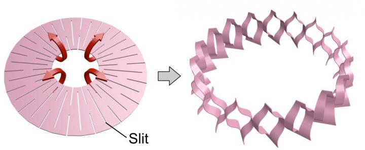 The Donut-Shaped Kirigami Structure