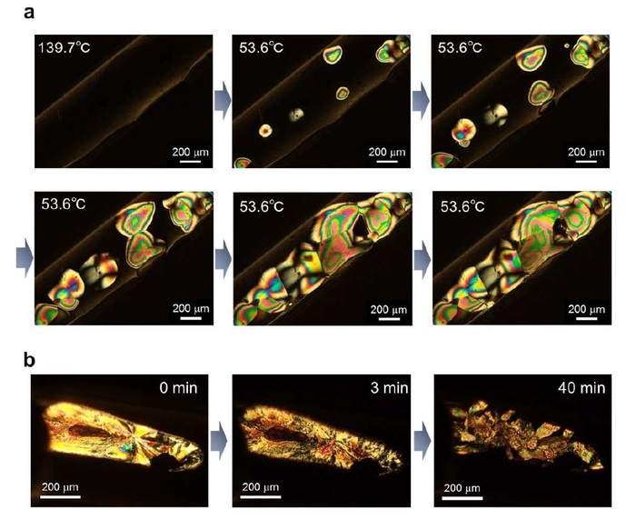 Visualization of phase transition from using polarized microscopy