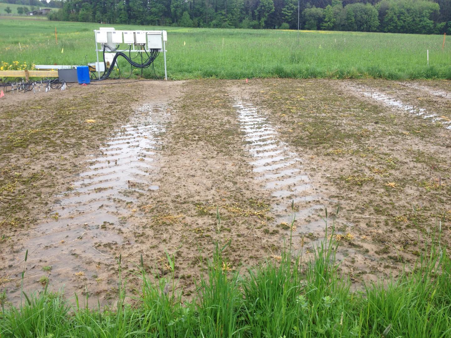 Soil Compaction Affects Water Absorption