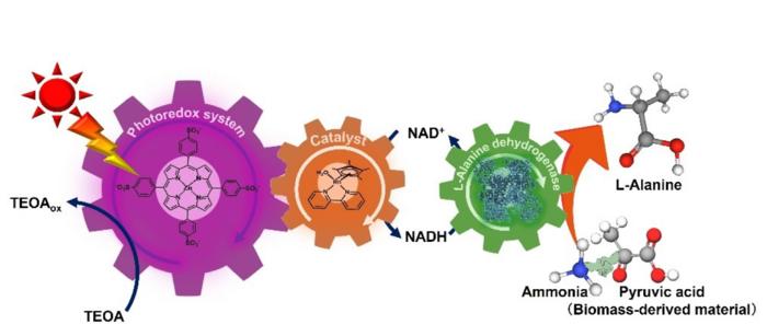 Producing precursor for a nylon-type biodegradable plastic