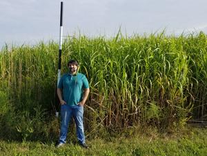 Fahd Majeed with miscanthus