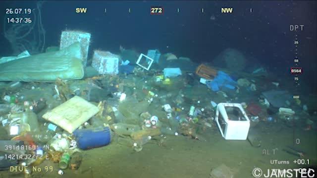 JAMSTEC's Deep-sea Debris Database