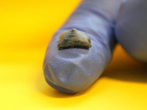 Self-assembled material on fingertip