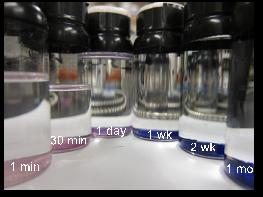 Don't Call Them Stiff: Metal Organic Frameworks Show Unexpected Flexibility