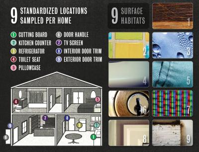 Sampling Sites to See What Lives in Our Homes
