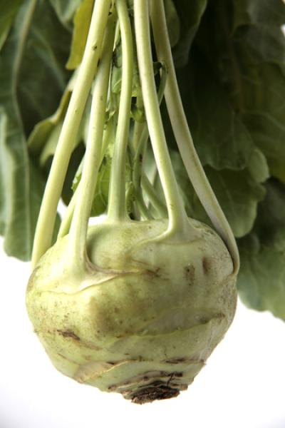 Kohlrabi