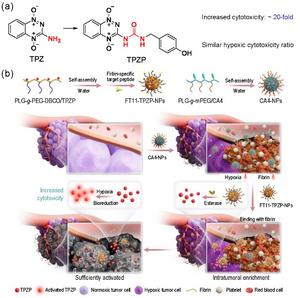 Profile of the tumor targeted drug delivery nanosystem