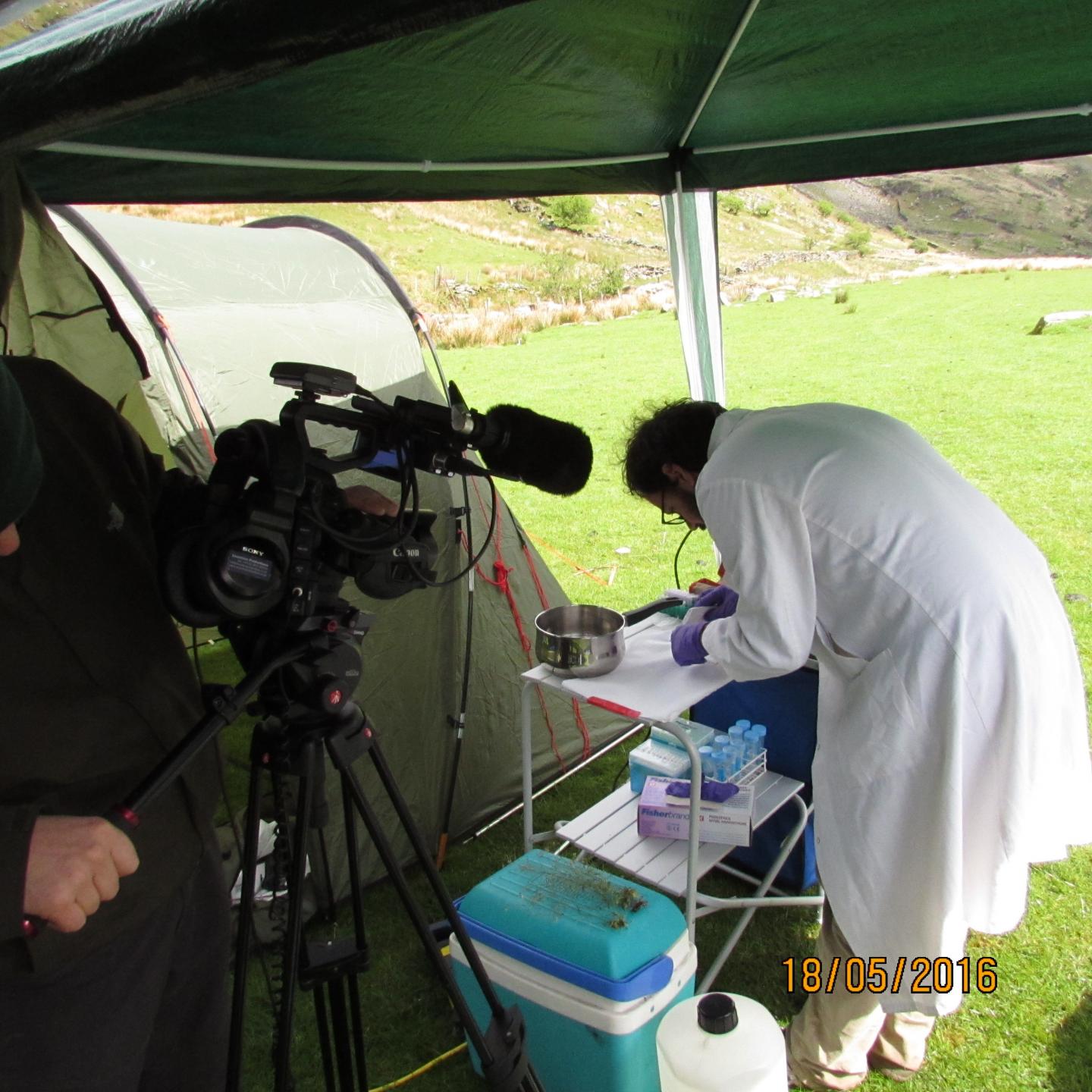 Sequencing Plant Genomes in the Wild- a New Beginning