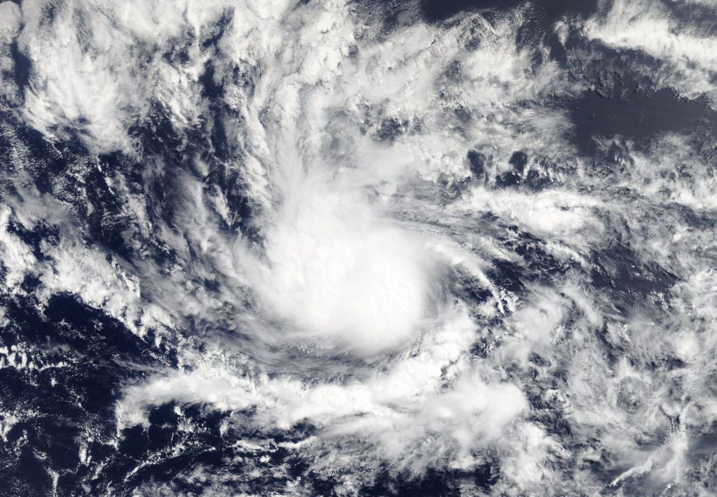 Terra Image of TD2