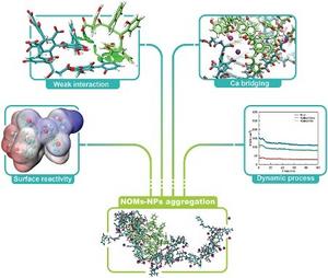 Molecular Interactions in NOMs-NPs Aggregation.