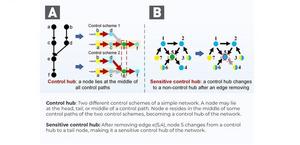 Integrating machine learning with total network controllability analysis to identify therapeutic targets for cancer treatment