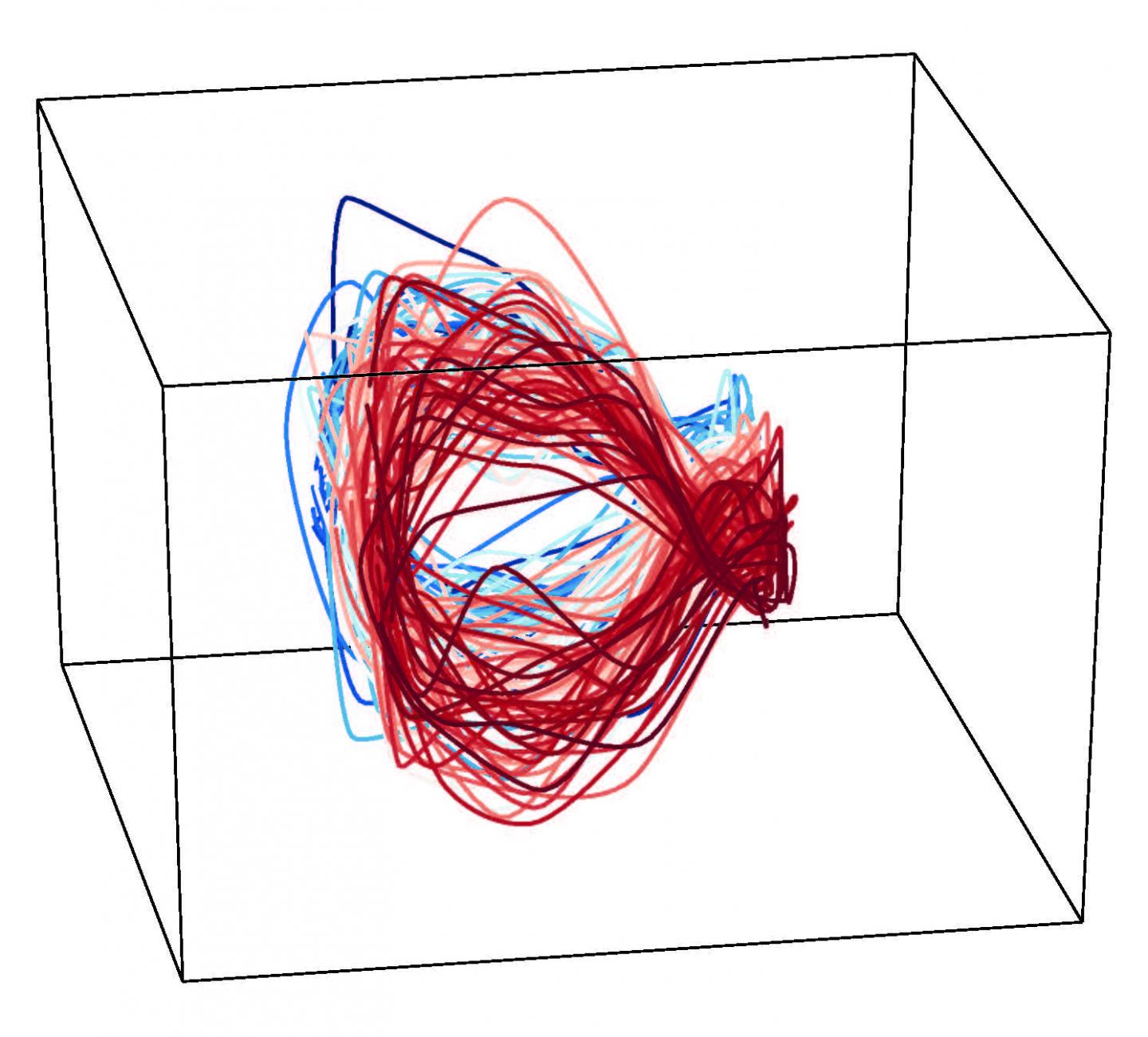 HyperTools Generated Visualization